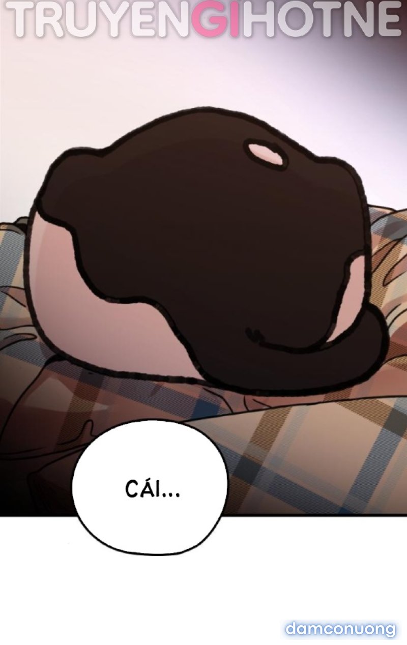 [18+] CUỘC SỐNG CỦA TÁC GIẢ TRUYỆN NGƯỜI LỚN Chapter 5 - Trang 2 - Dâm Cô Nương