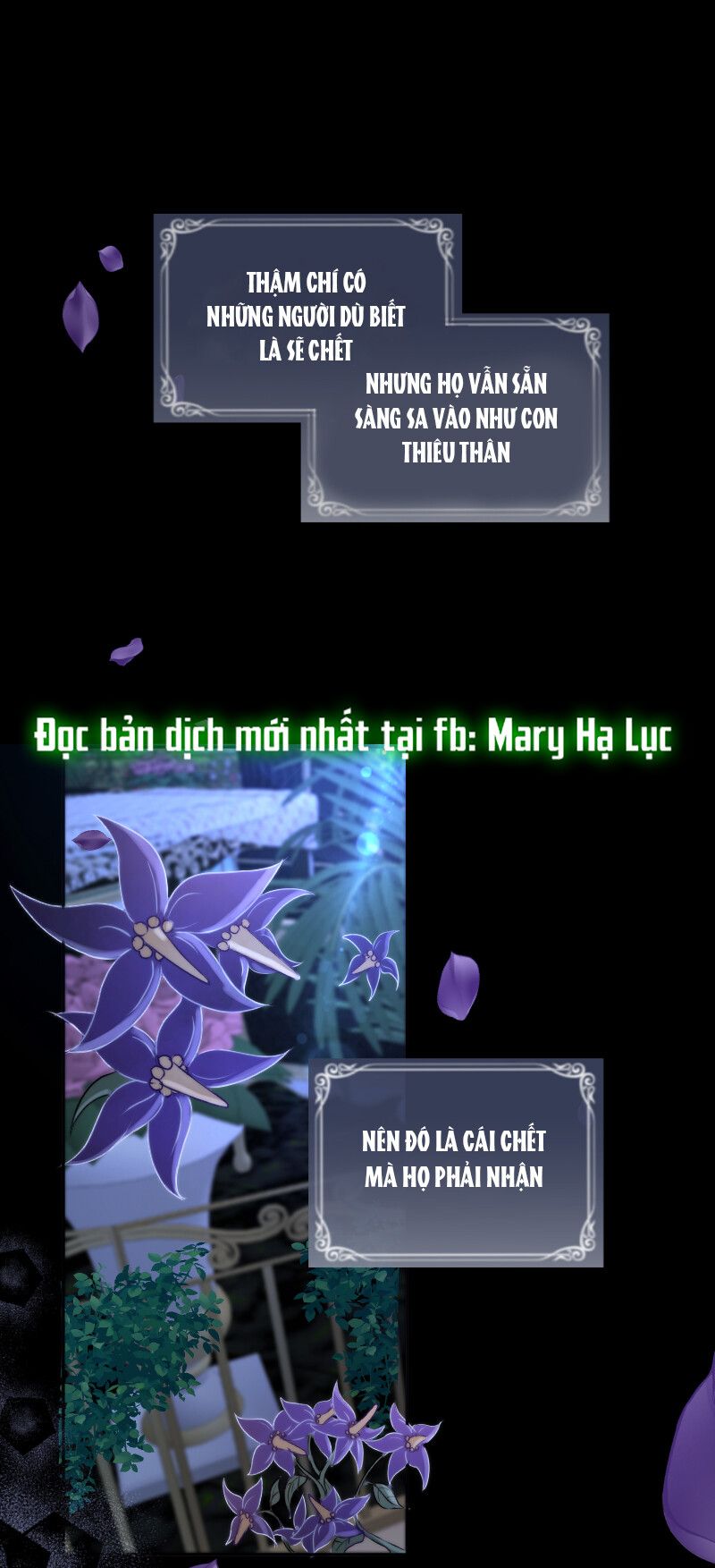 [18+] CÂY BẠCH ANH Chapter 3 - Trang 6 - Dâm Cô Nương