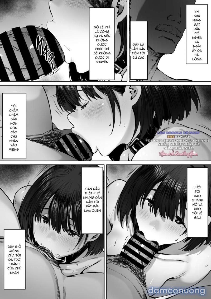 Nô Lệ Đầy Tham Vọng Chapter 2 - Trang 7 - Dâm Cô Nương