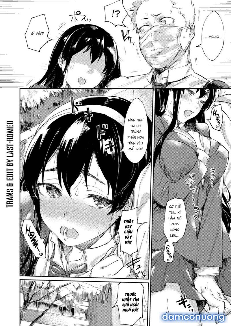 Mùa Phấn Hoa Động Dục Chapter 1 - Trang 4 - Dâm Cô Nương