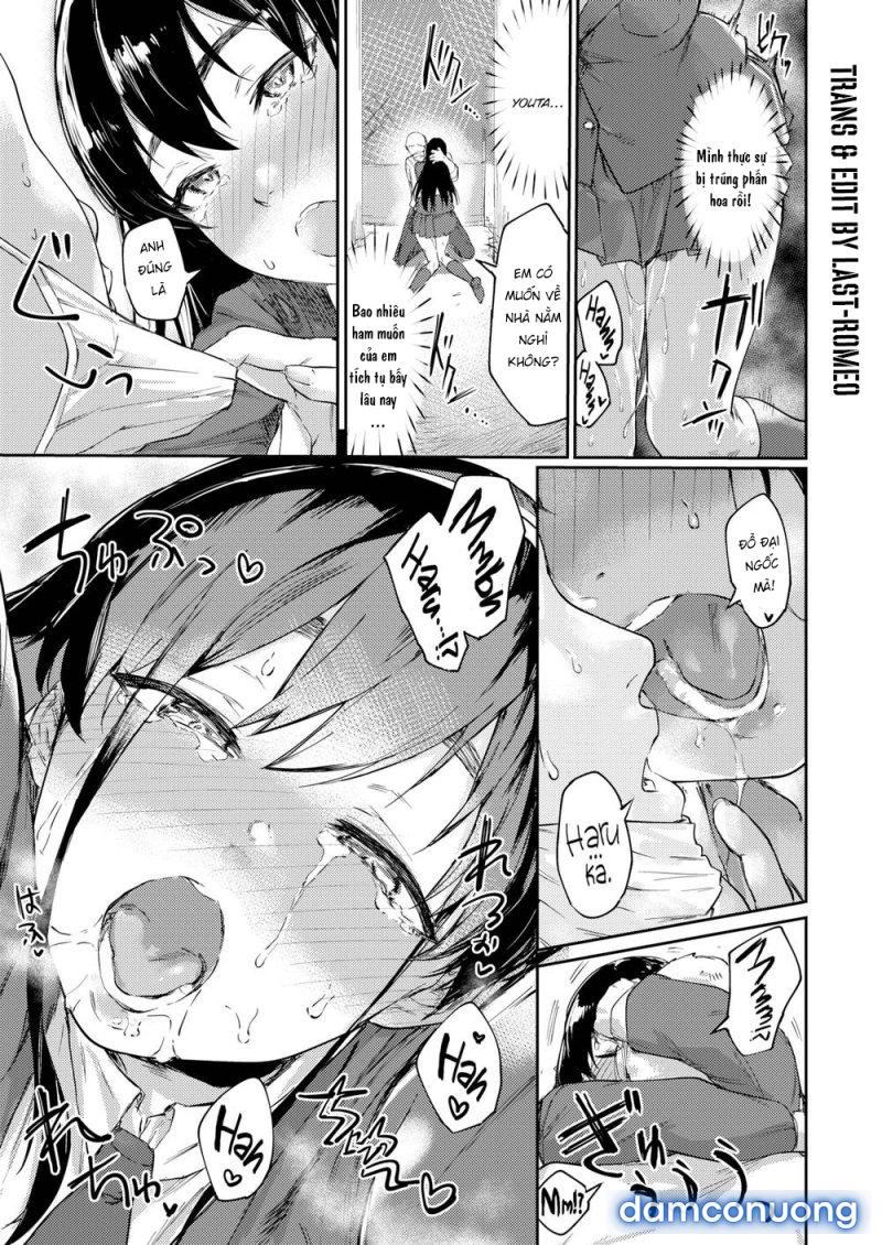 Mùa Phấn Hoa Động Dục Chapter 1 - Trang 7 - Dâm Cô Nương