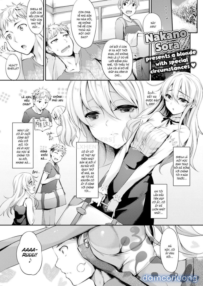 Light Brown Sprite! Oneshot - Trang 1 - Dâm Cô Nương