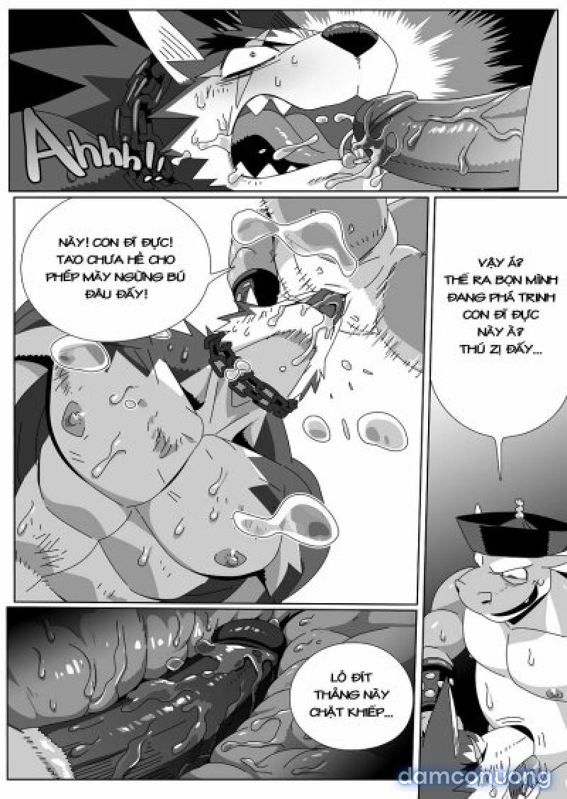 Hero's Trap- Bẫy Anh Hùng Chapter 2 - Trang 15 - Dâm Cô Nương