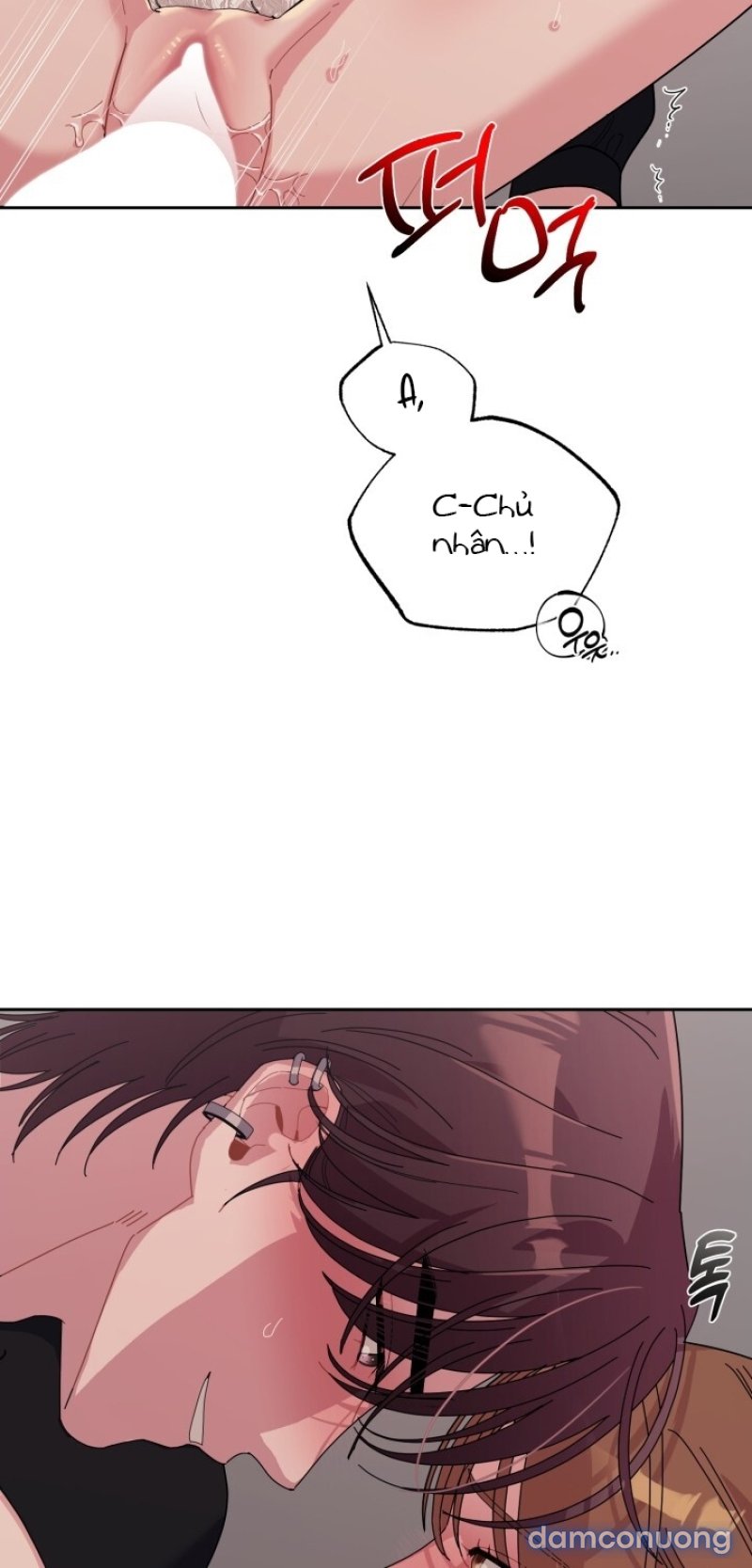 [18+] XX ARCHIVE Chapter 33 - Trang 20