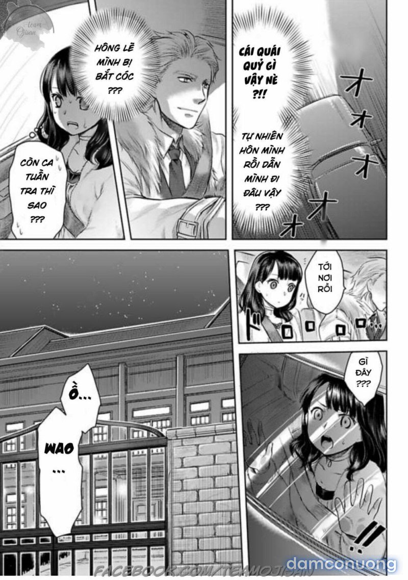 Phu Nhân Của Băng Đảng Máu Mặt Chapter 1 - Trang 11 - Dâm Cô Nương