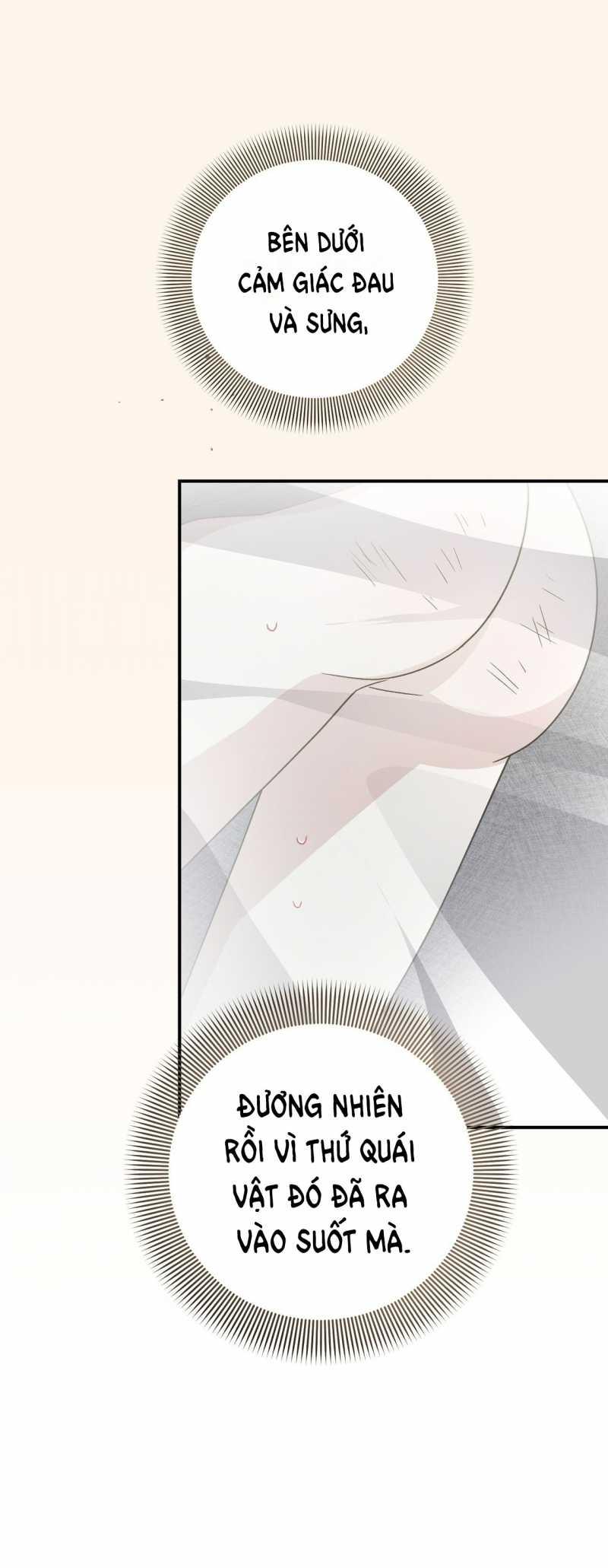 [18+] Đám Cưới Hào Nhoáng Chapter 17.2 - Trang 31