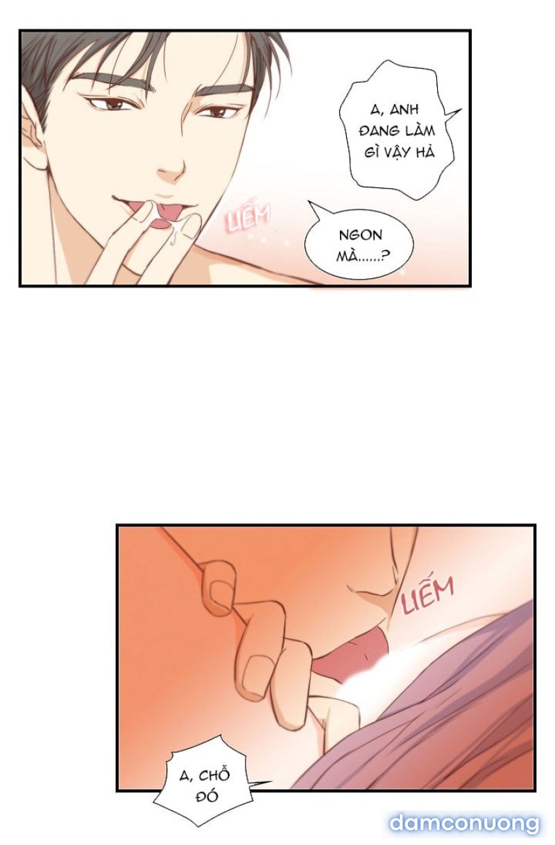 Tôi Được Tổng Giám Đốc Tỏ Tình Chapter 1 - Trang 16 - Dâm Cô Nương
