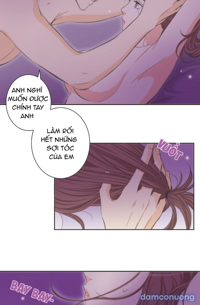 Tôi Được Tổng Giám Đốc Tỏ Tình Chapter 13 - Trang 16 - Dâm Cô Nương