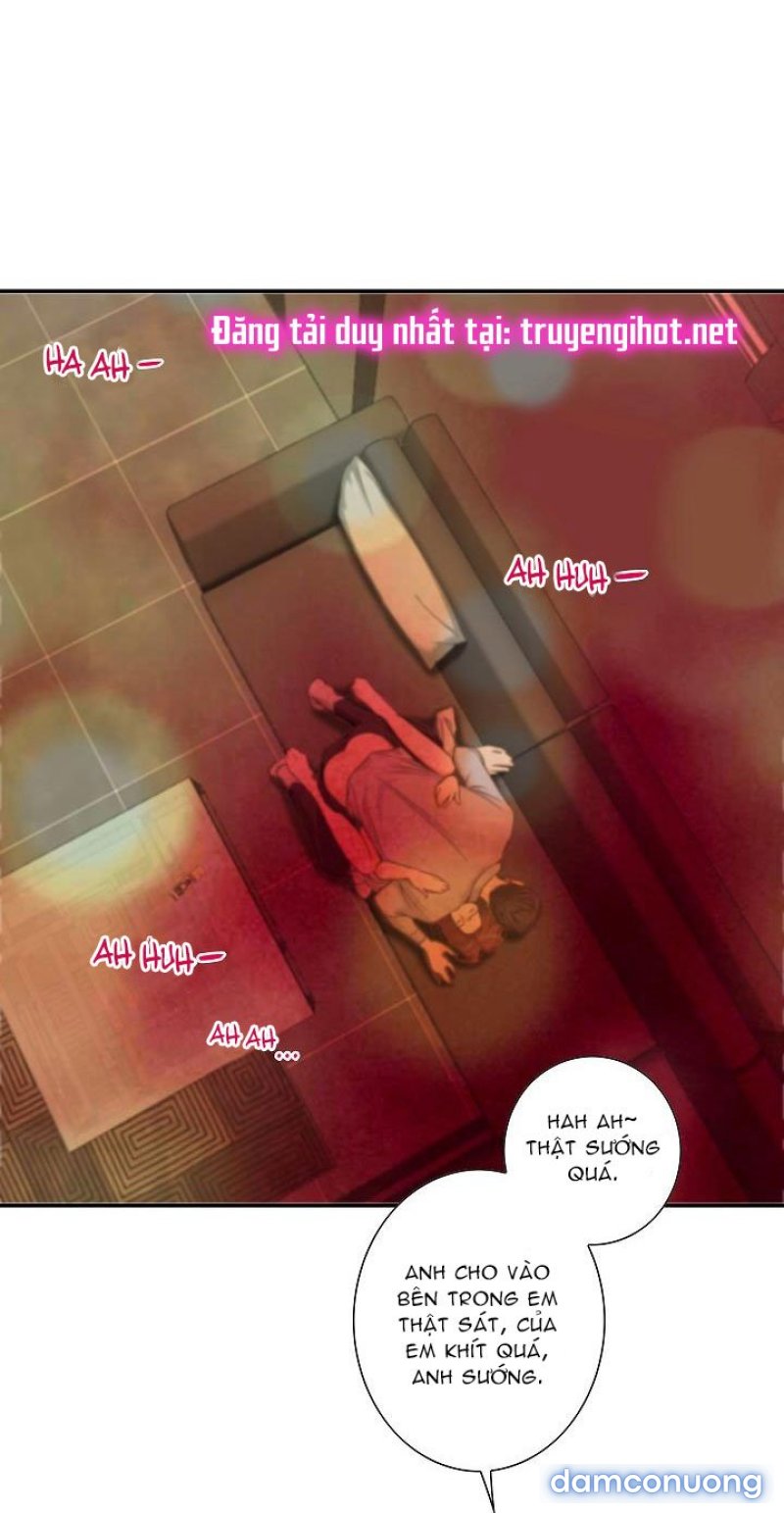 Tôi Được Tổng Giám Đốc Tỏ Tình Chapter 16 - Trang 39 - Dâm Cô Nương