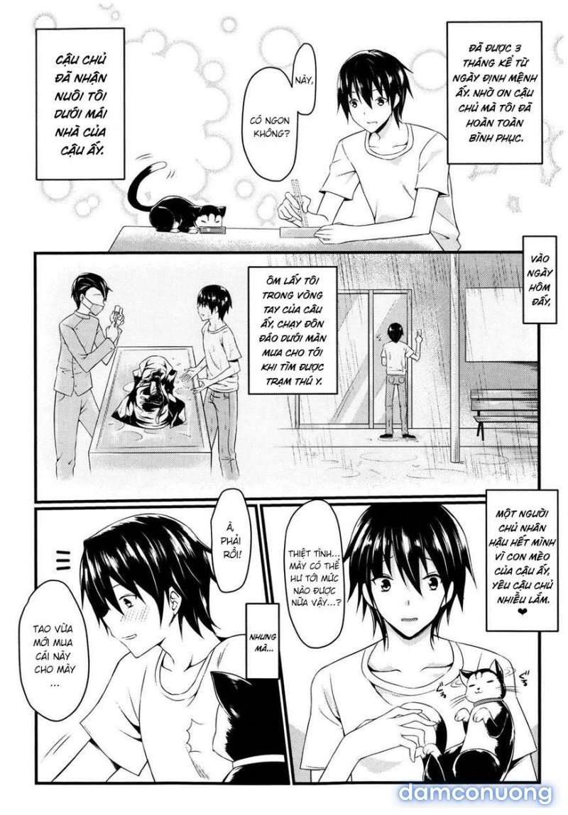 CatWooOman Oneshot - Trang 7 - Dâm Cô Nương