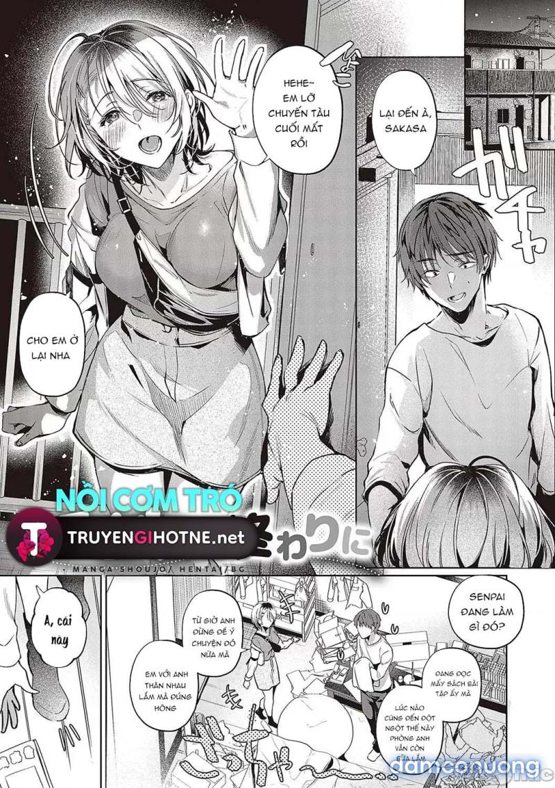 Hãy Yêu Em Như Thể Muốn Gò Má Ướt Nhòe Chapter 4 - Trang 12 - Dâm Cô Nương