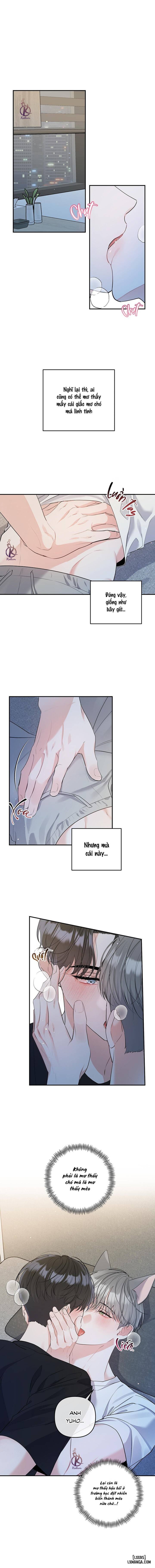 Không phải con mèo đó, con mèo này cơ! Chapter 1 - Trang 1 - Dâm Cô Nương