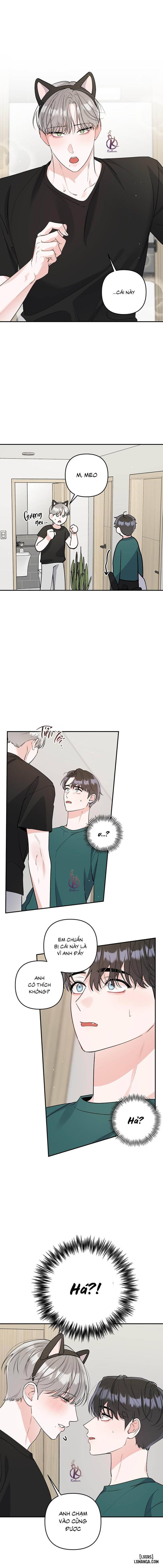 Không phải con mèo đó, con mèo này cơ! Chapter 5 - Trang 3 - Dâm Cô Nương
