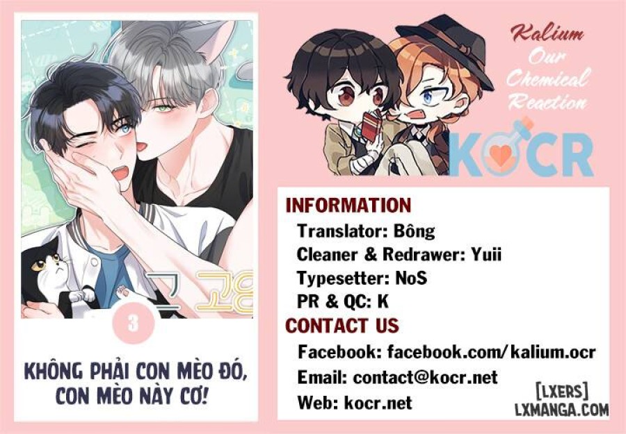 Không phải con mèo đó, con mèo này cơ! Chapter 3 - Trang 11 - Dâm Cô Nương