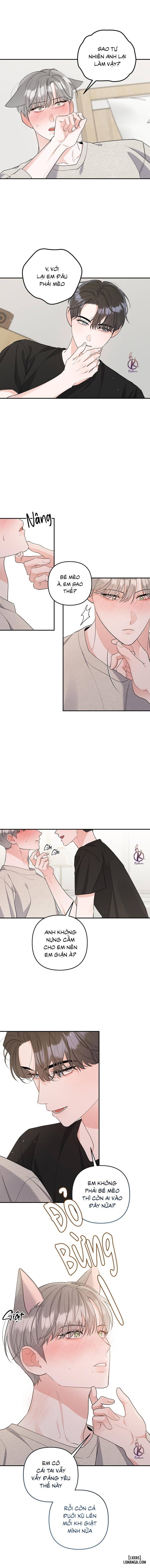 Không phải con mèo đó, con mèo này cơ! Chapter 4 - Trang 2 - Dâm Cô Nương