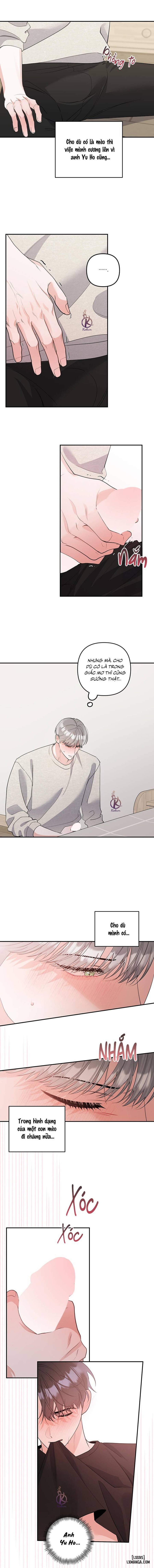 Không phải con mèo đó, con mèo này cơ! Chapter 4 - Trang 7 - Dâm Cô Nương